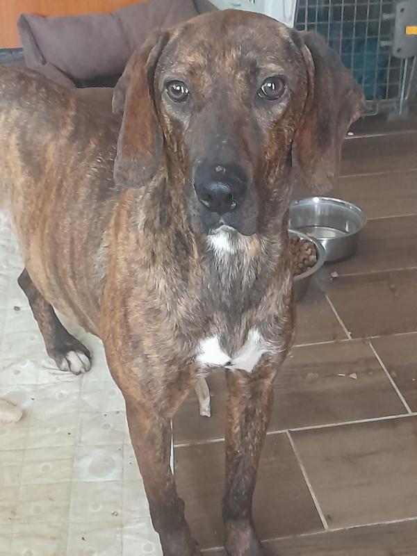 💔 Lidia, abbandonata ma con tanta voglia di vivere 💔 Foto 5